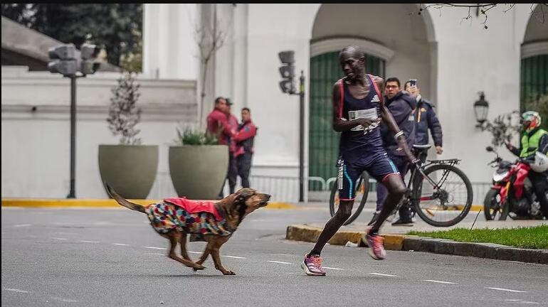 El momento en que un perro ataca al atleta keniano (PHOTO | AFP)