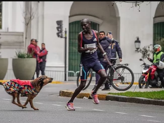El momento en que un perro ataca al atleta keniano (PHOTO | AFP)