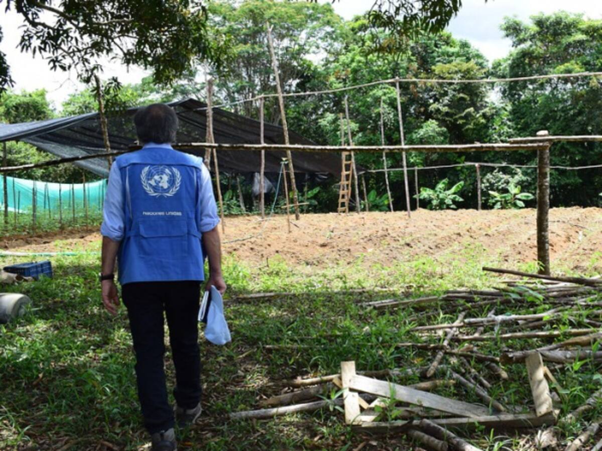 ONU pide proteger JEP para garantizar implementación de los acuerdos de paz