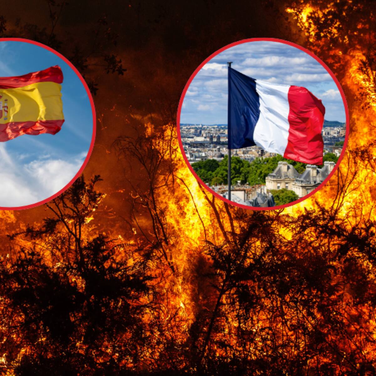 Incendios avanzan en Madrid: Miles de personas son evacuadas de España y de frontera con Francia