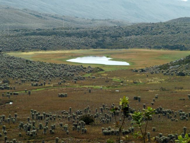 Más de 500 mil ha. de páramo son protegidas para conservación del agua
