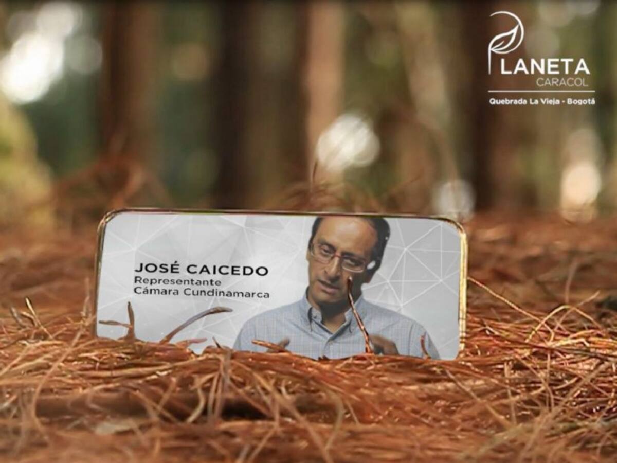 Primer proyecto de Ley que impone sanciones severas a la deforestación