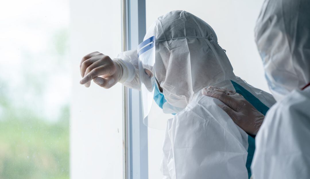 Imagen de referencia