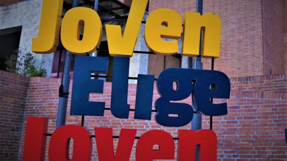 Así quedaría conformado el Consejo Municipal de Juventud en Cali