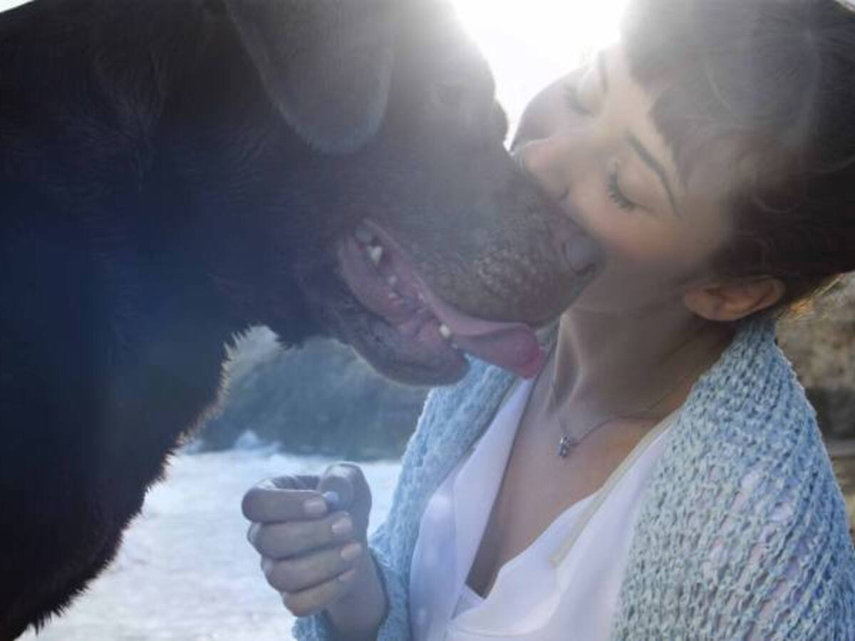Siete beneficios que traen las mascotas para la salud