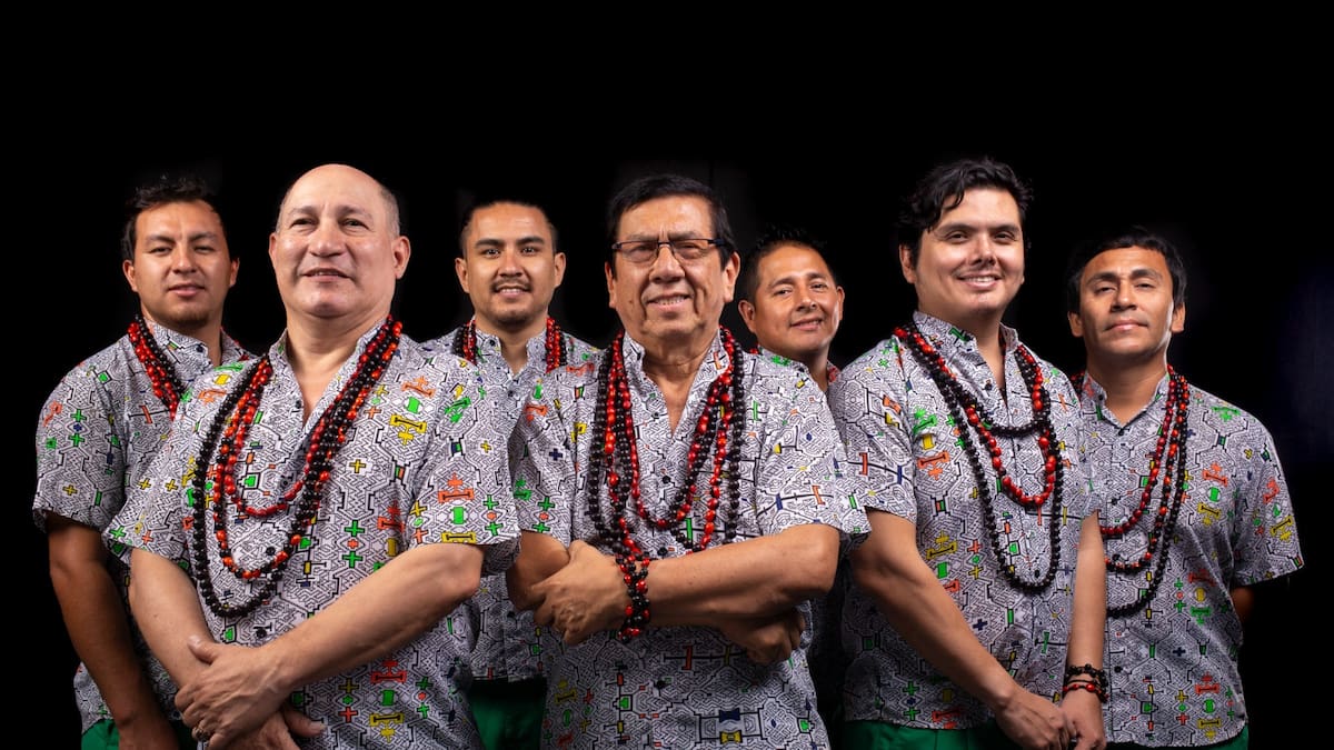 Los Mirlos y la Cumbia psicodelica