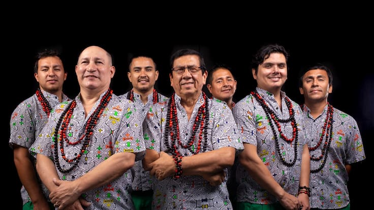 Los Mirlos y la Cumbia psicodelica