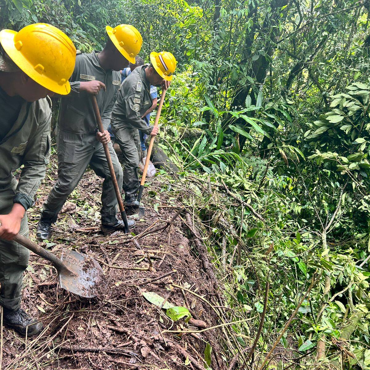 Pelotón de desastres de Octava Brigada del Ejército y la remoción de derrumbes en Quindío