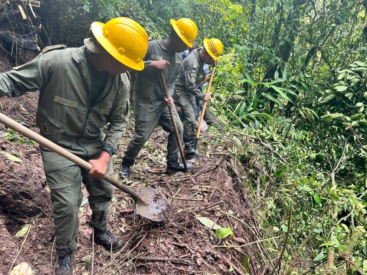 Pelotón de desastres de Octava Brigada del Ejército y la remoción de derrumbes en Quindío