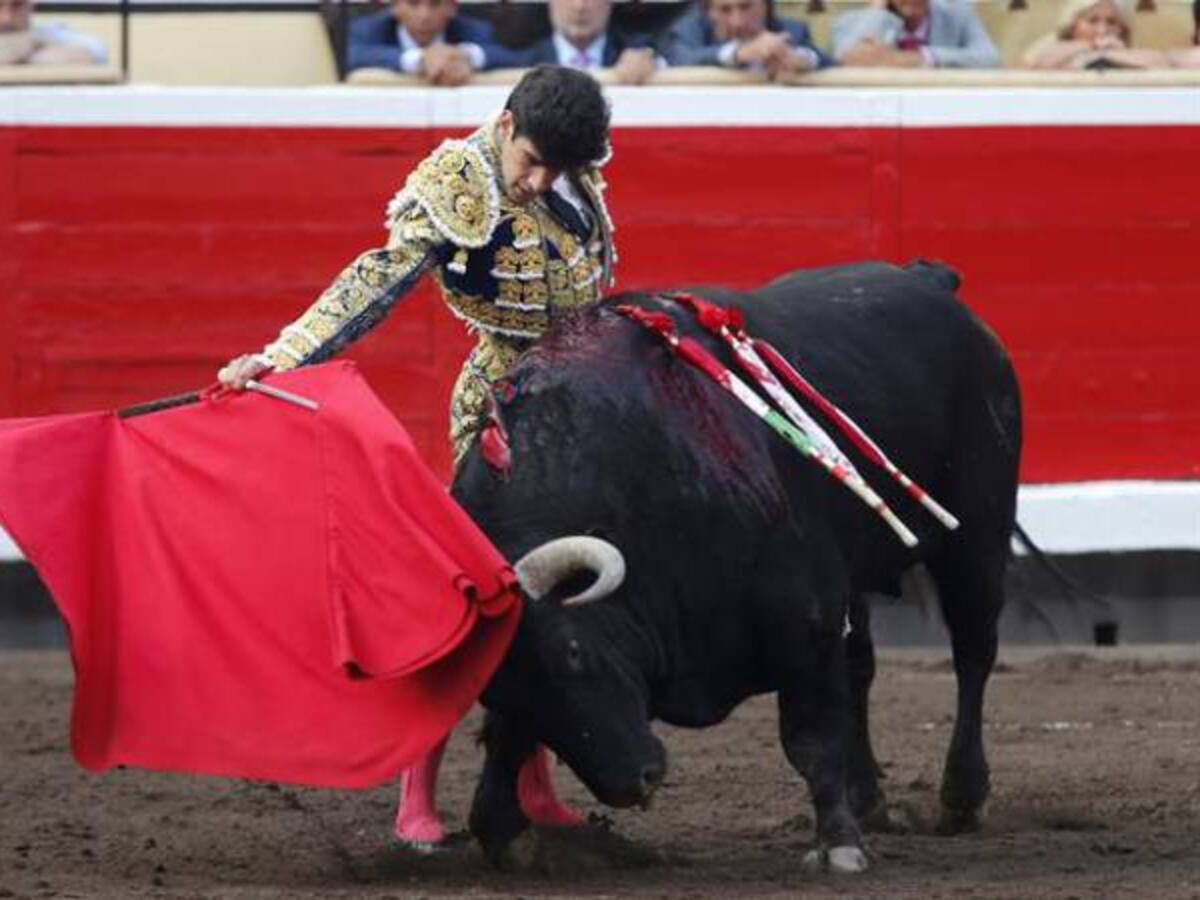 Corridas en Bilbao necesitan “remedios urgentes”
