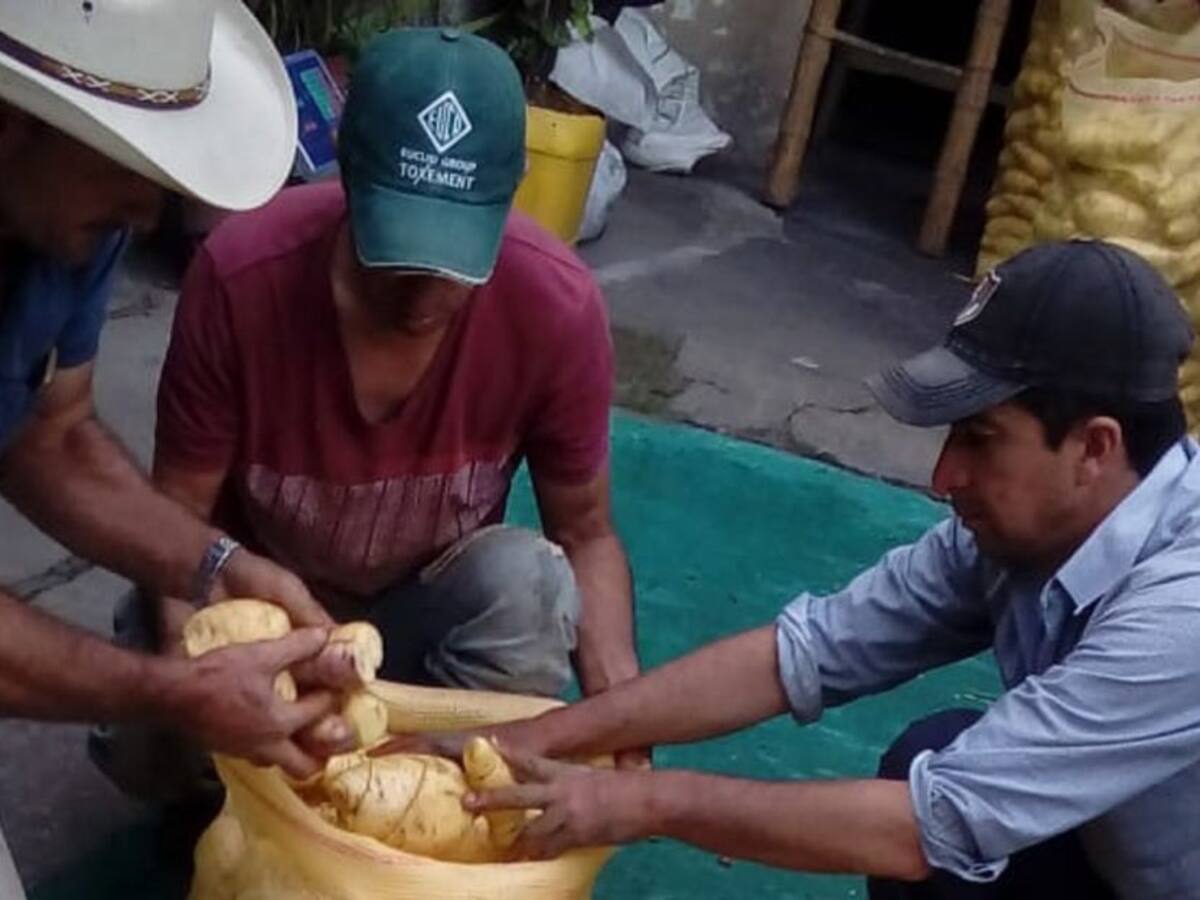 En Ibagué habrá ‘arracachatón’ para ayudar a los campesinos