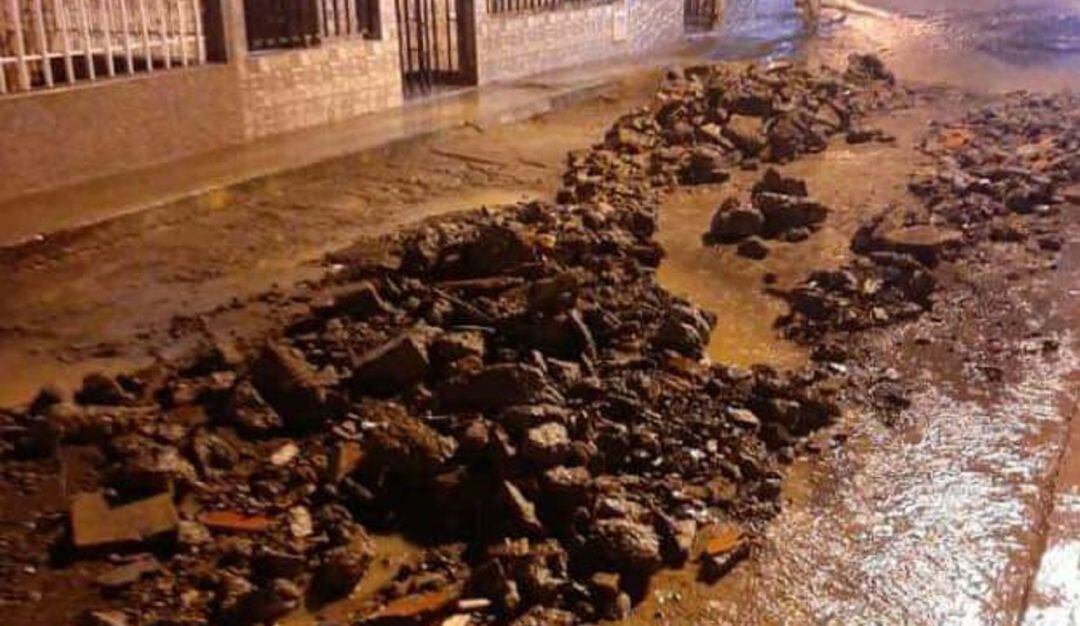 Foto: Secretaría de Medio Ambiente de Caldas.