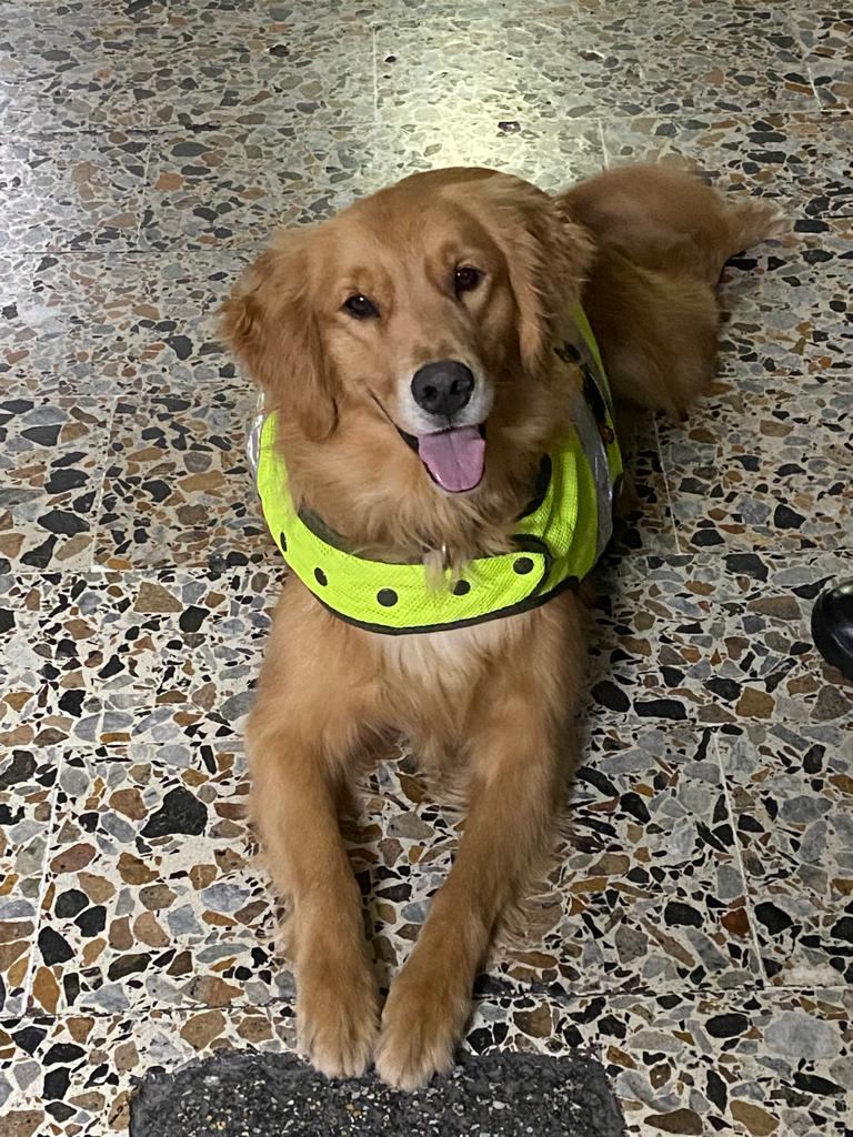 'Evelyn' murió tras varias complicaciones en su salud