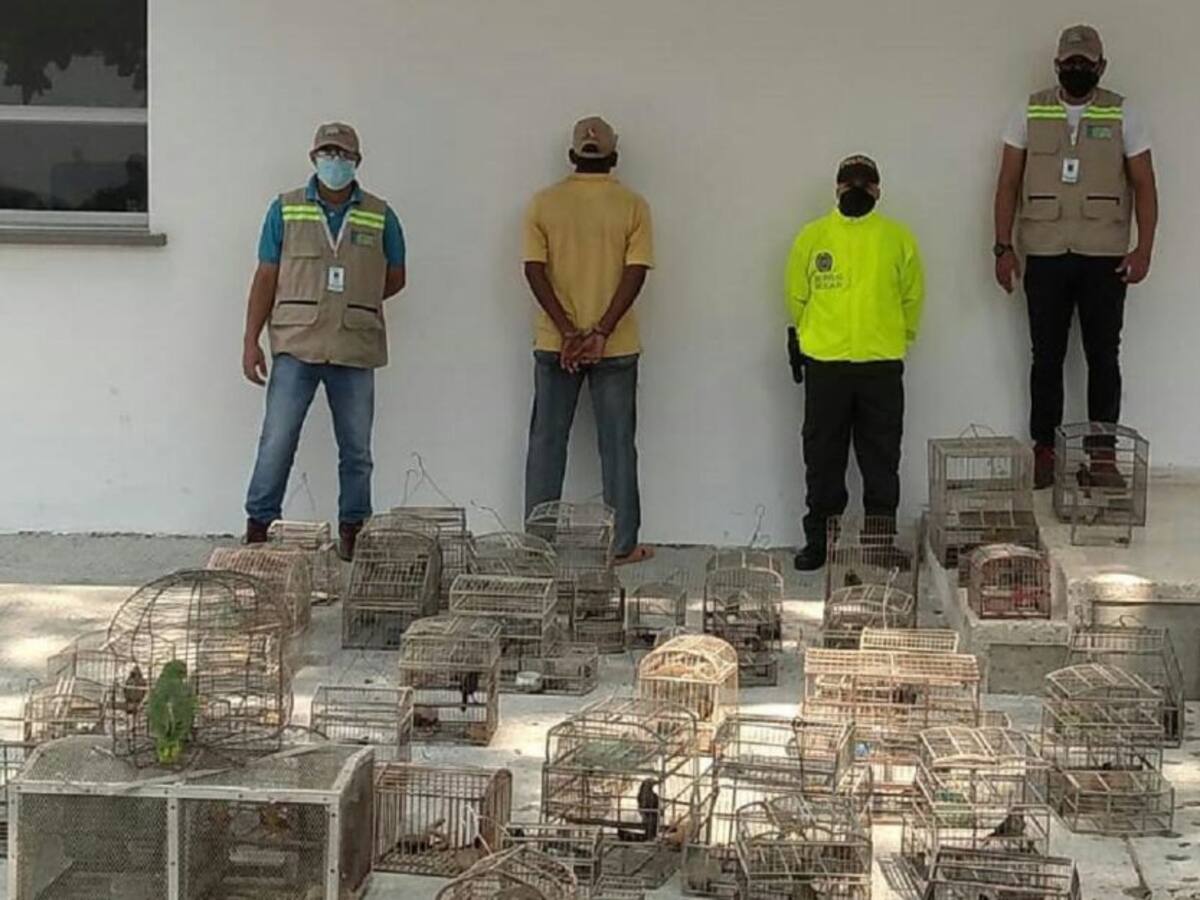 Capturan a presunto traficante de fauna silvestre en Cartagena