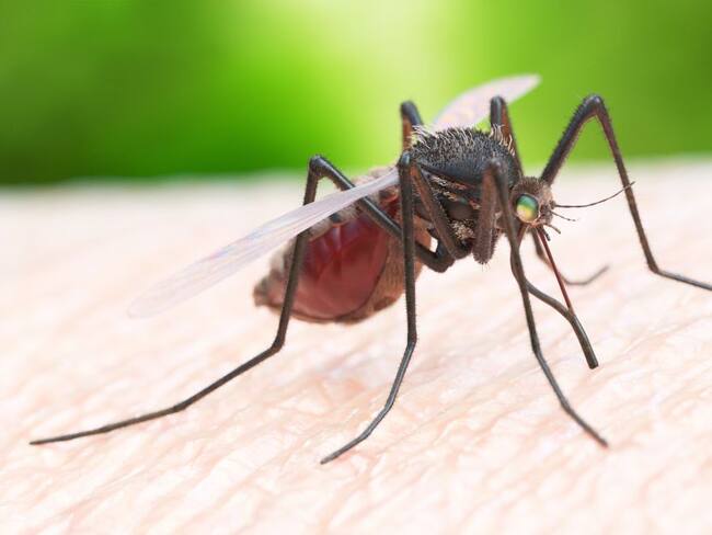 Crecen cifras de dengue en el Tolima