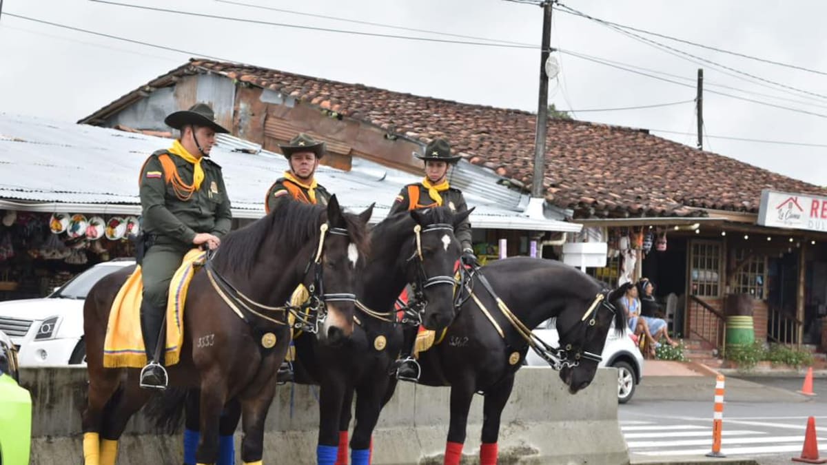 Coronel Alba Patricia Lancheros, comandante Policía del Quindío