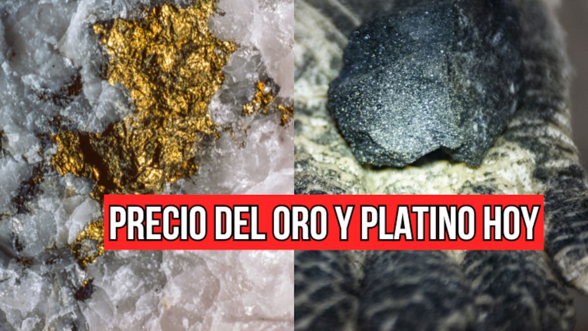 Cuánto vale el gramo de oro y platino HOY 28 de agosto en Colombia: Índice oficial de BanRep