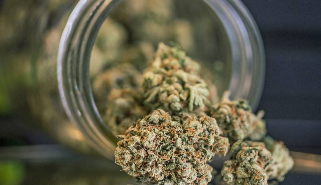 Cannabis - Getty Images