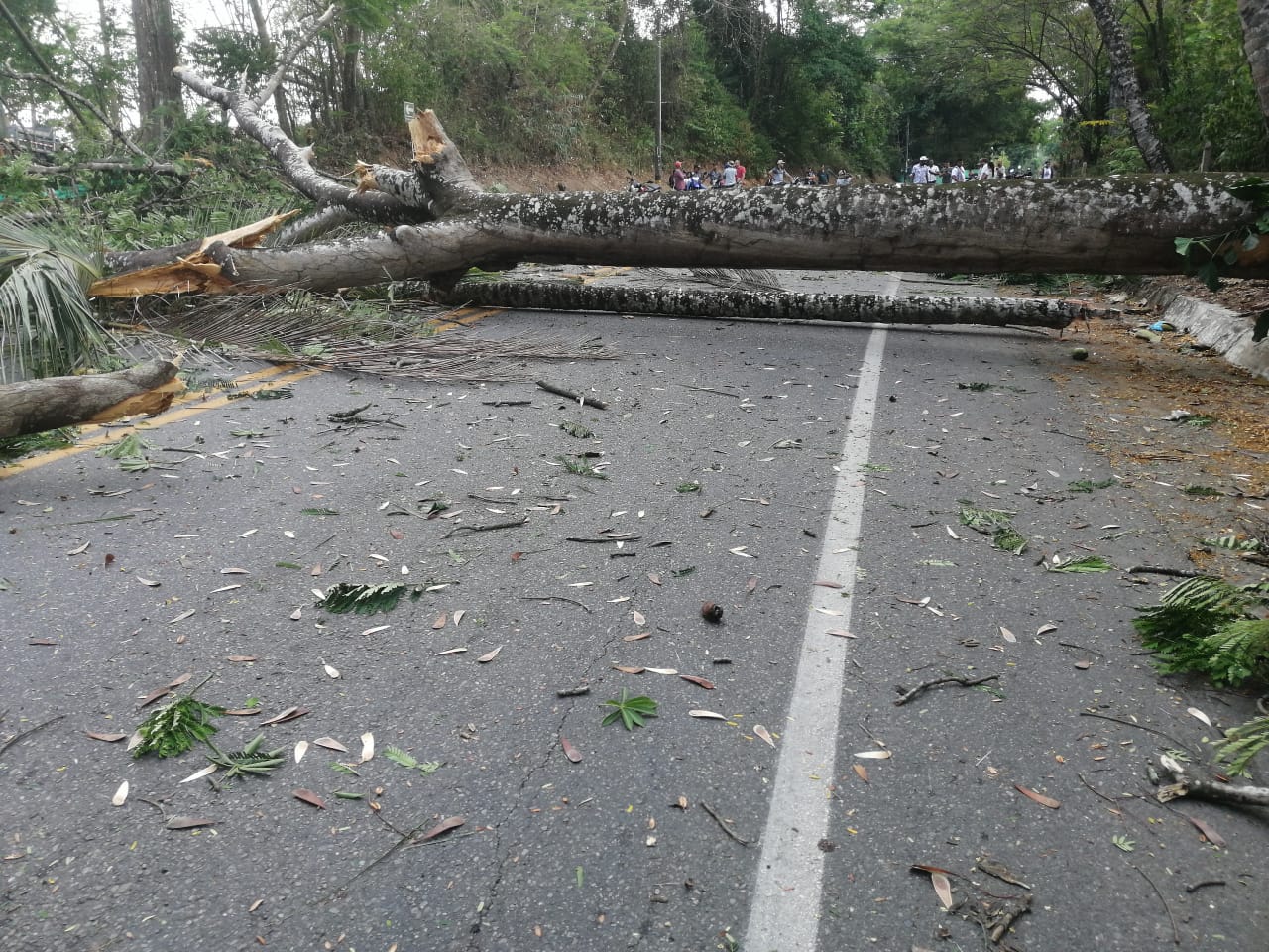Bloqueo vía Tarazá