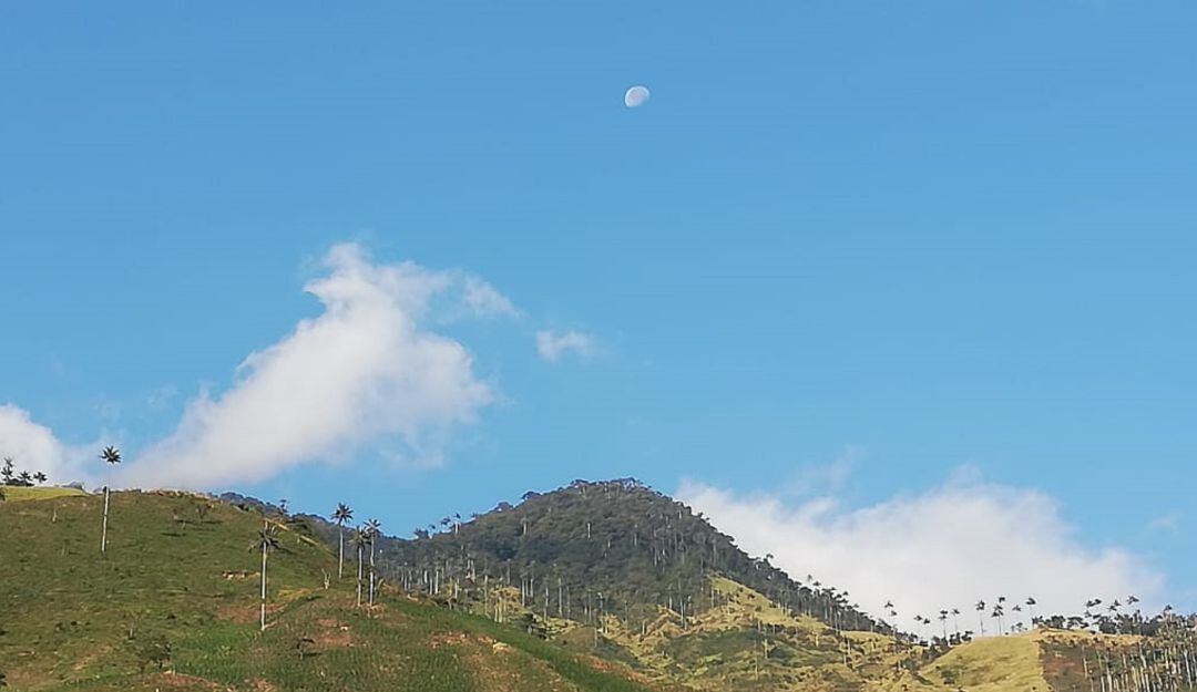 Espectacular fotografía de las montañas del Quindío, el cielo azul y la luna