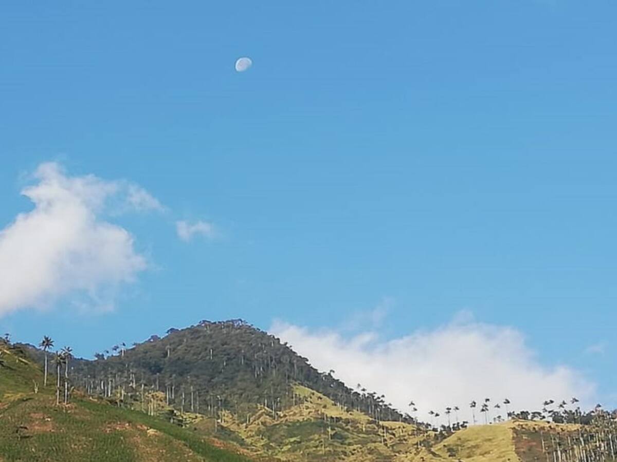 Las noticias más importantes de Armenia y Quindío, viernes 14 de febrero