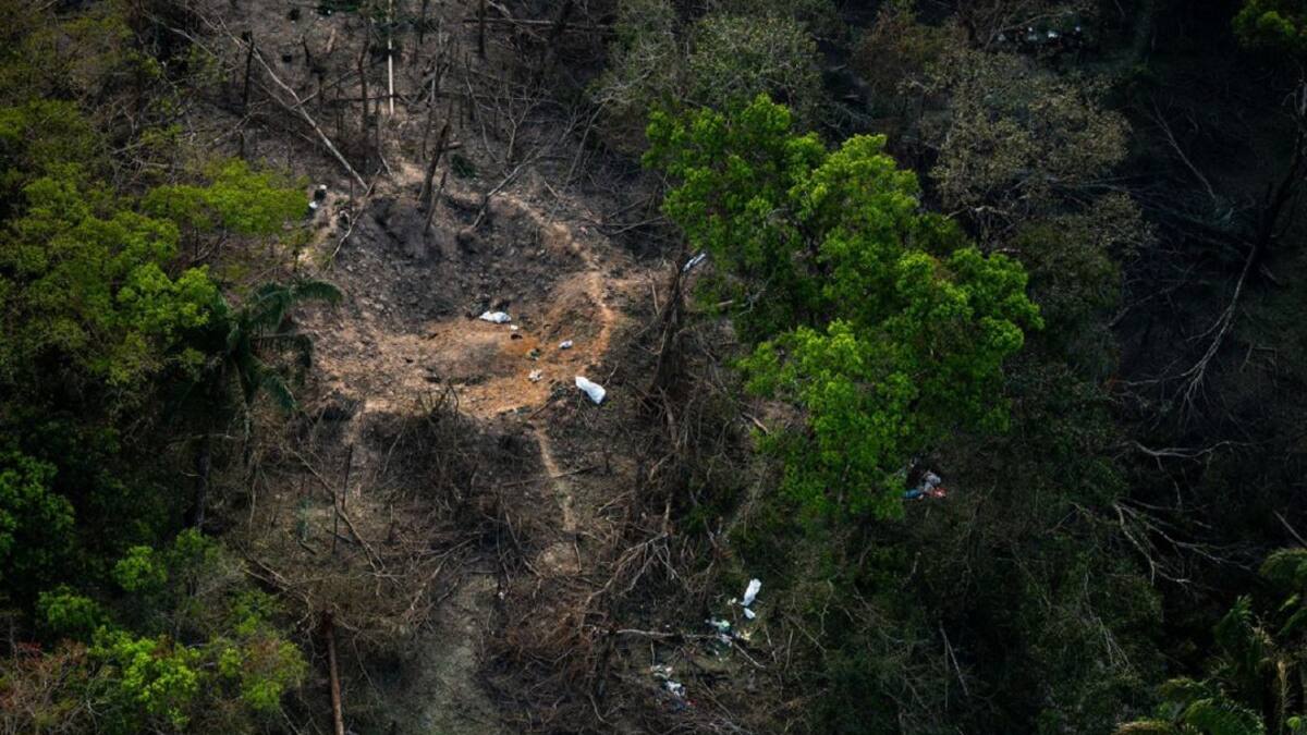 Golpe a disidencias FARC: abatidos sus máximos jefes en Arauca