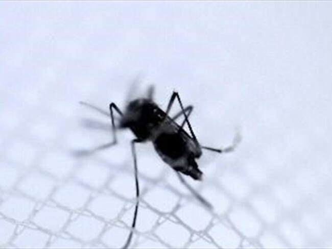 Confirman segundo caso de chikungunya en el país