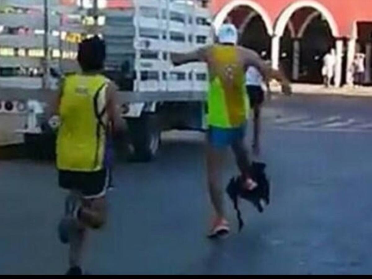 Indignación por atleta que golpea a un perro
