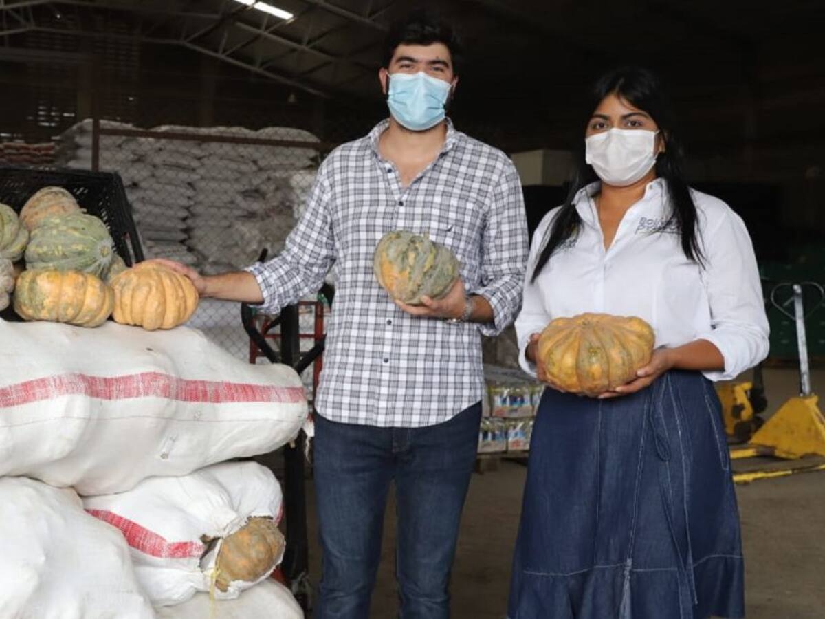 Campesinos de Pinillos vendieron 5 toneladas de auyama en Cartagena