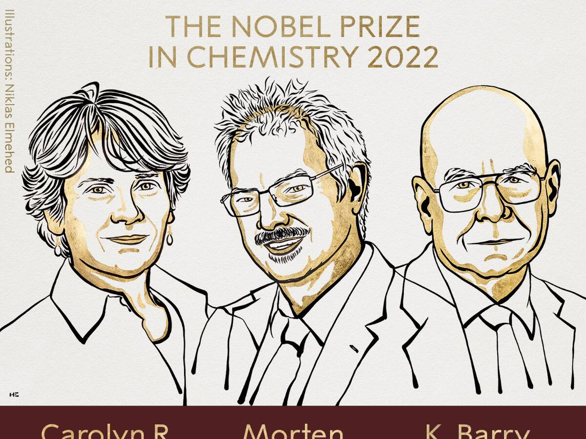Nobel de Química por el desarrollo de herramienta para construir moléculas