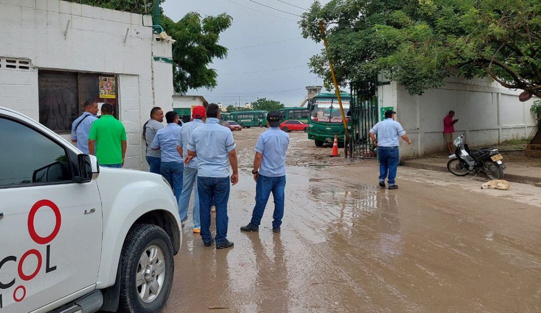 Nevada de la empresa Coolitoral.