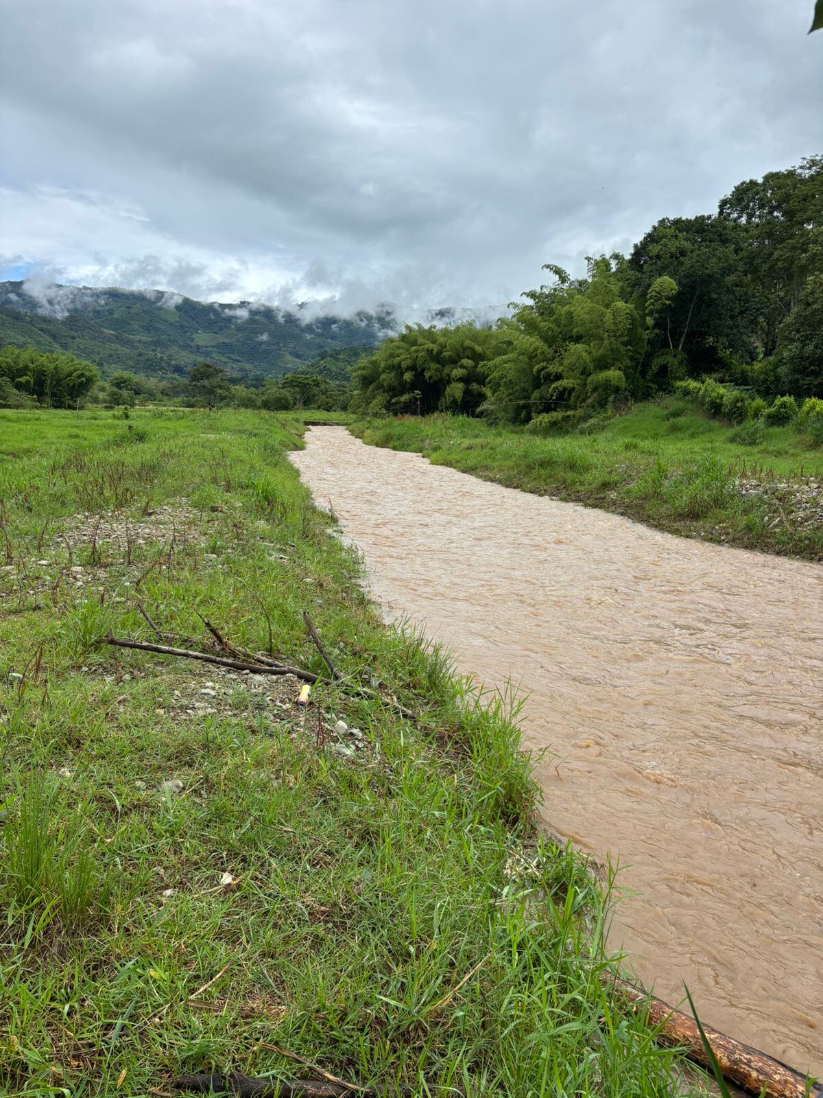 Quebrada La Libertad en el occidente de Caldas. Foto suministrada.
