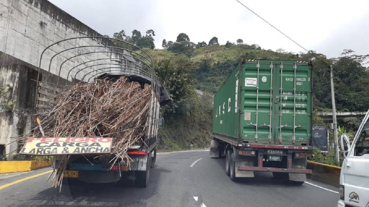 Transporte de carga y buses con tránsito hoy por la vía La Línea