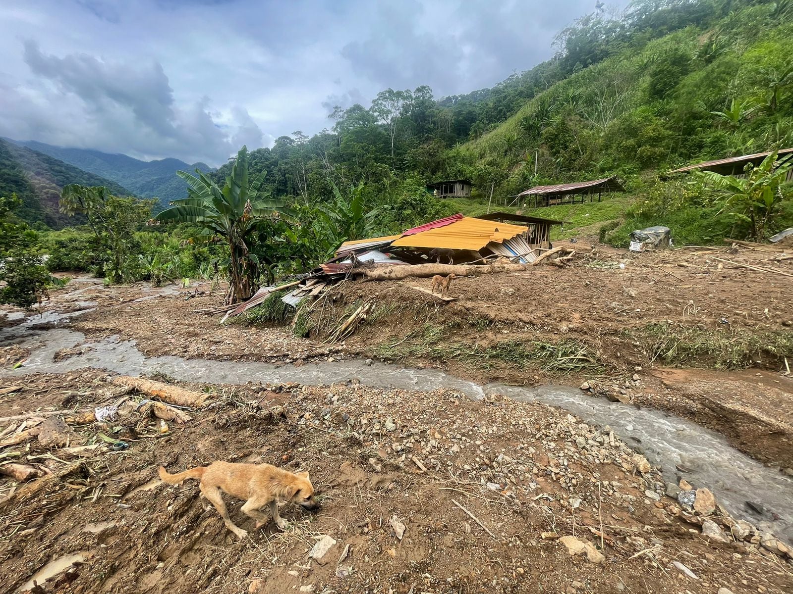 Foto: Gobernación de Risaralda