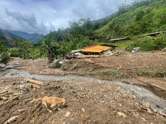 Foto: Gobernación de Risaralda