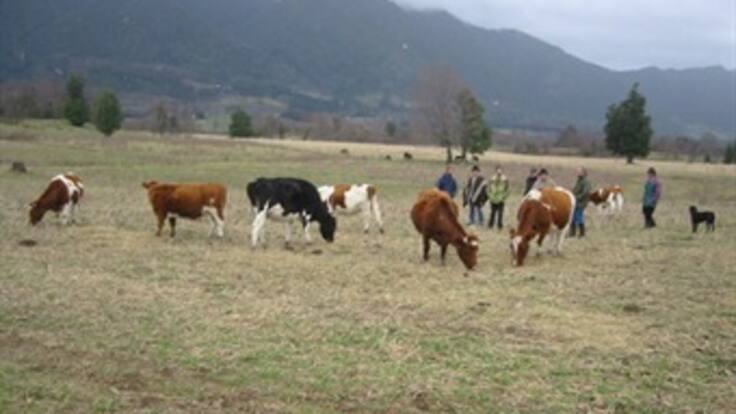 El país se verá expuesto a un ‘megaverano’: Minagricultura