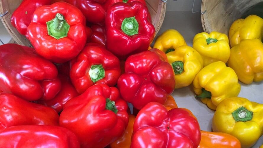 La autoridad sanitaria publicó en el Registro Federal la Regla Final con requisitos que deben cumplir los exportadores que van a comercializar el pimentón colombiano. Foto: Getty Images / CREATIVE TOUCH IMAGING LTD