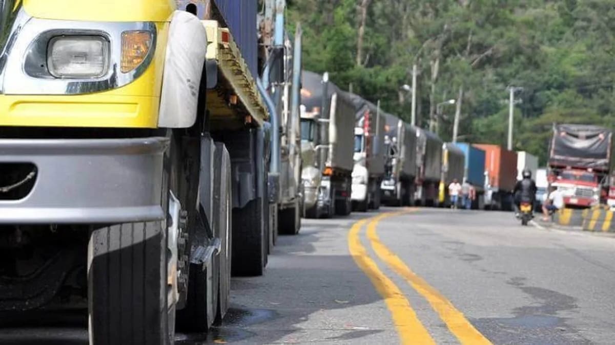 Transportadores de carga internacional se declaran en cese de actividades