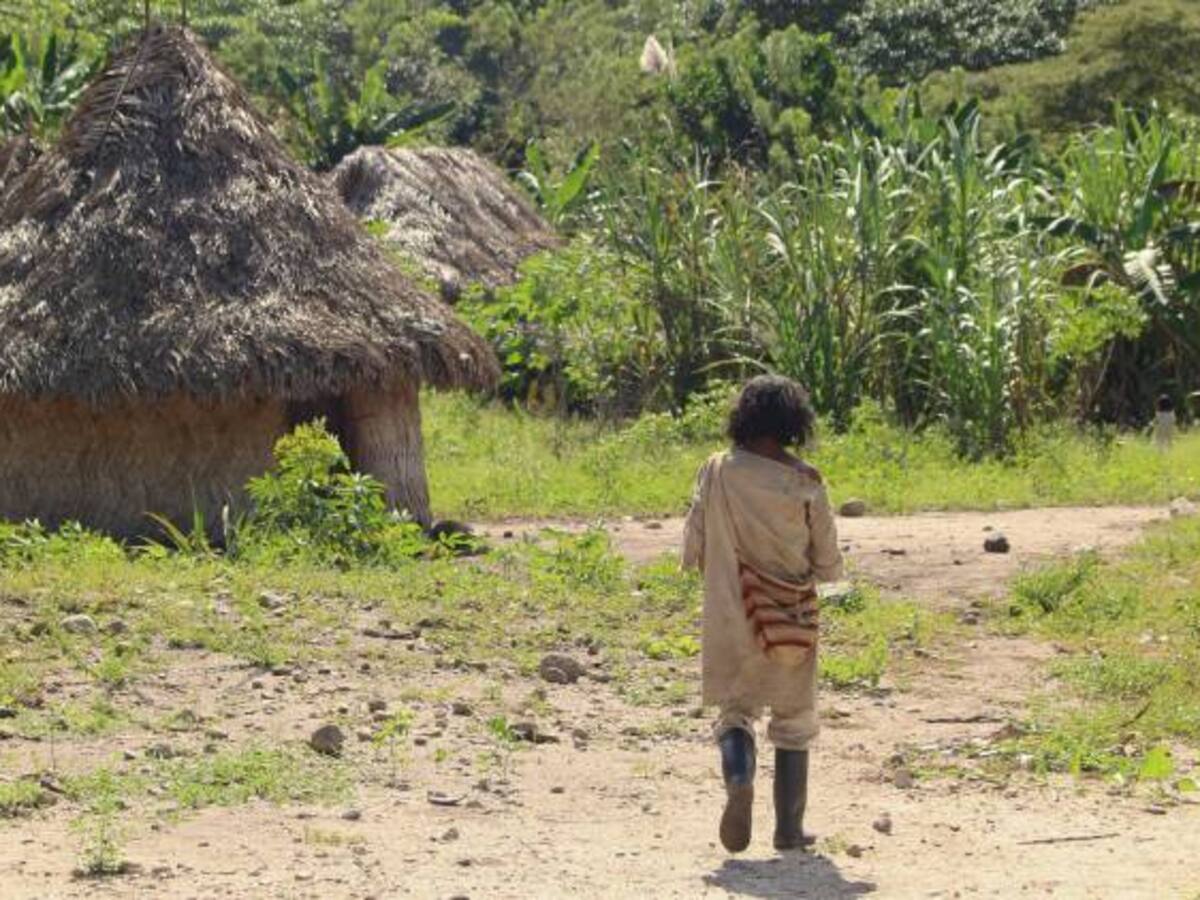 Mueren otros tres niños en la Guajira por desnutrición