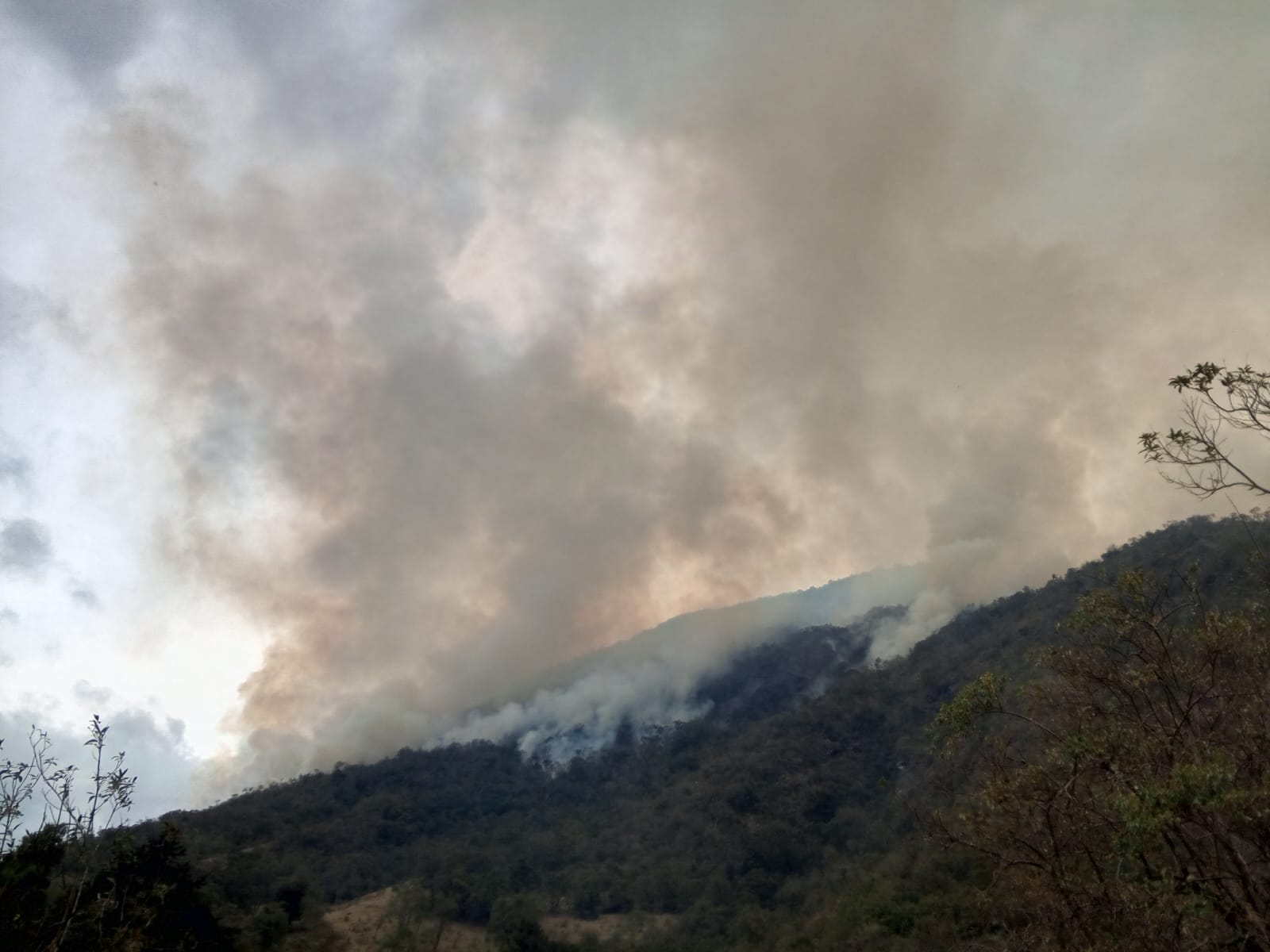 Incendio en páramo de Buga, Valle, lleva más de 45 días y ya supera las mil hectáreas afectadas