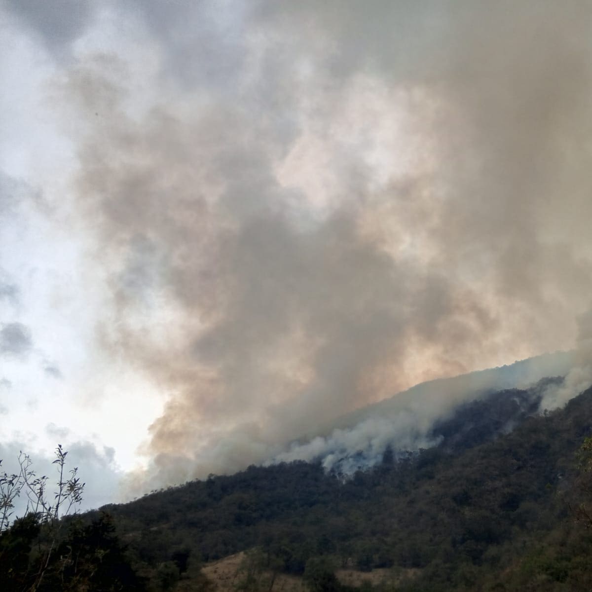 Incendio en páramo de Buga, Valle, lleva más de 45 días y ya supera las mil hectáreas afectadas