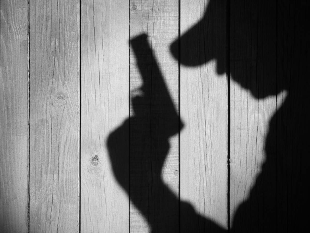 Bacrim no son paramilitares y no tendrán tratamiento político: Mindefensa