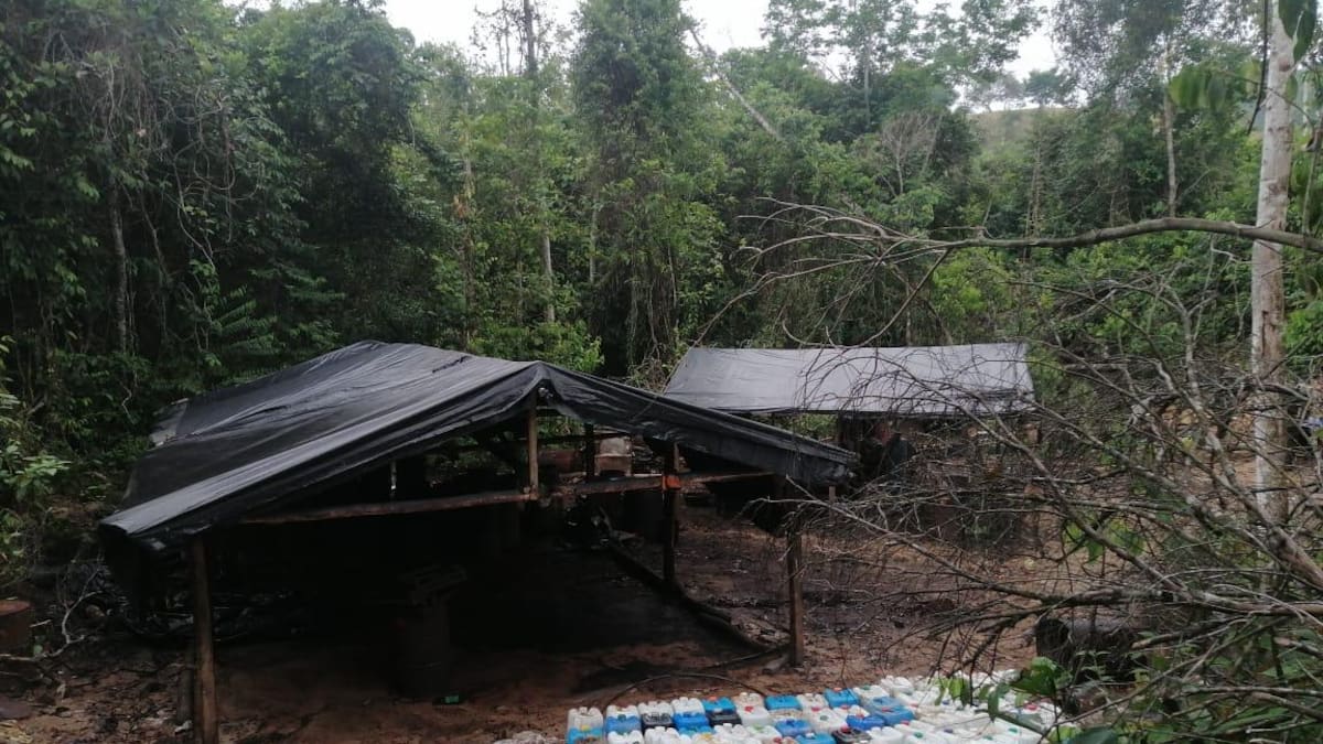 Las autoridades destruyeron un laboratorio de cocaína en Tarazá que generaba $2 mil millones al mes