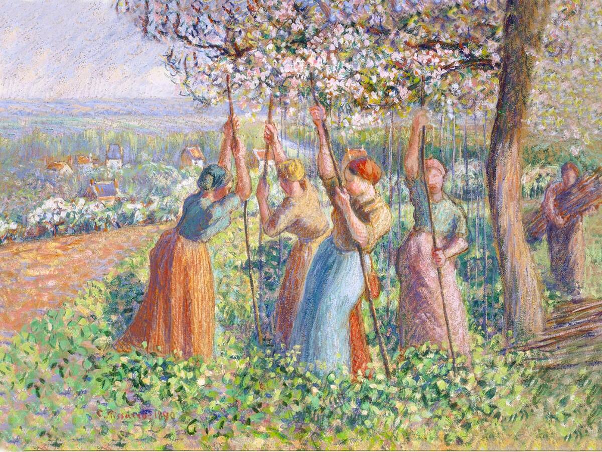 Cineco Alternativo presenta “Pissarro: padre del impresionismo”
