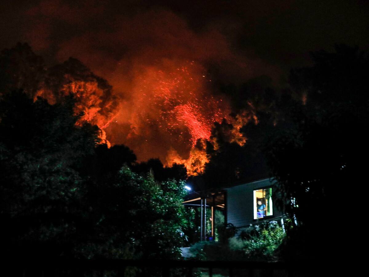 Incendios en Chile: llamas han destruido más de 45.000 hectáreas