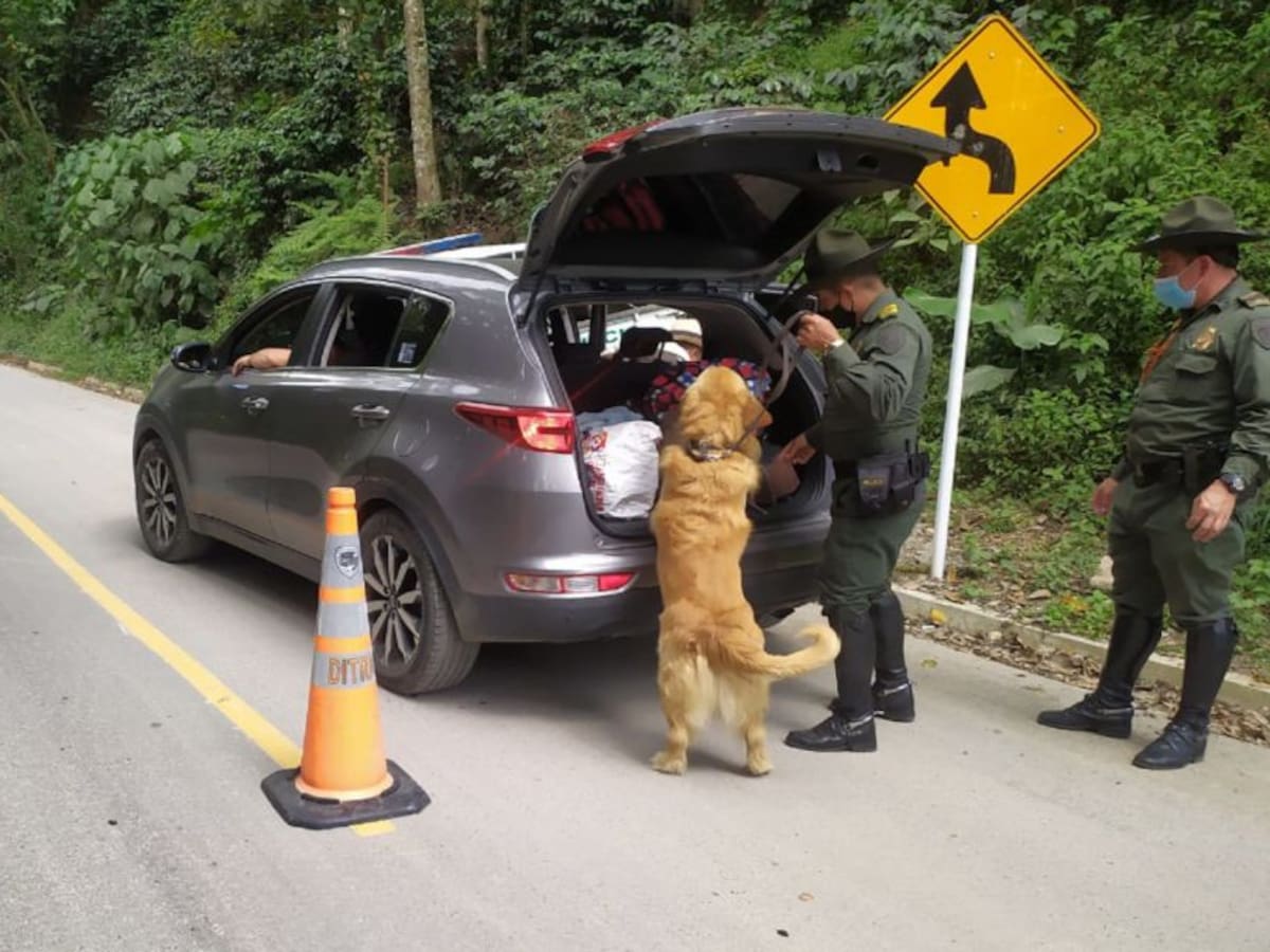 Cerca de 24.000 vehículos transitaron por Caldas el puente festivo