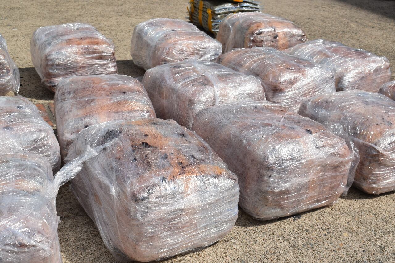 En una vivienda del municipio de Los Patios fueron hallados más de 600 kilos de marihuana / Foto Archivo