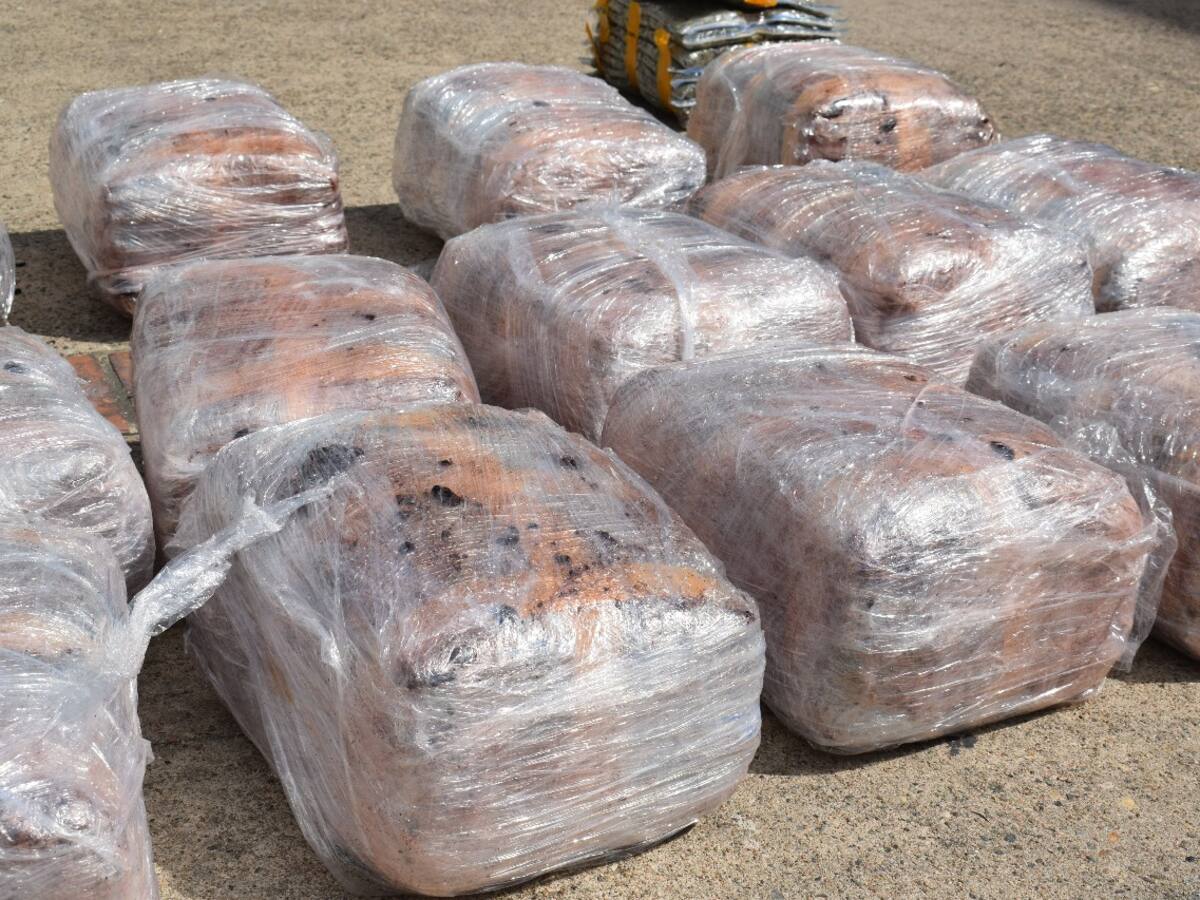 Golpe al narcotráfico en el municipio de Los Patios