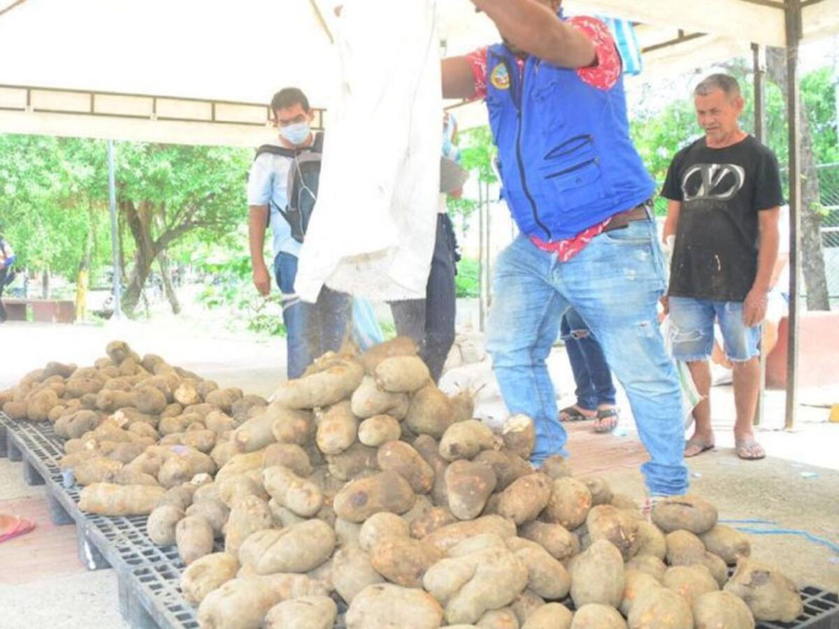 'Platanatón' y 'Ñametón' en tres barrios de Cartagena