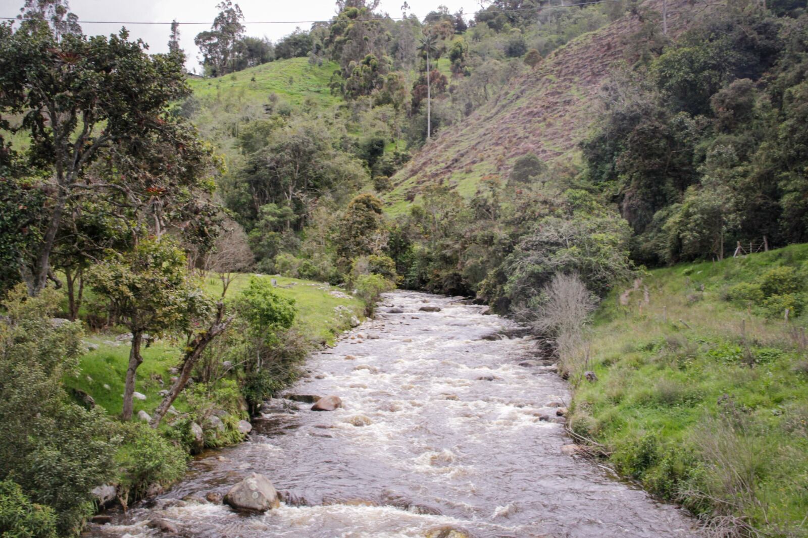 Fuente hídrico del Tolima/Suministrada por Cortolima